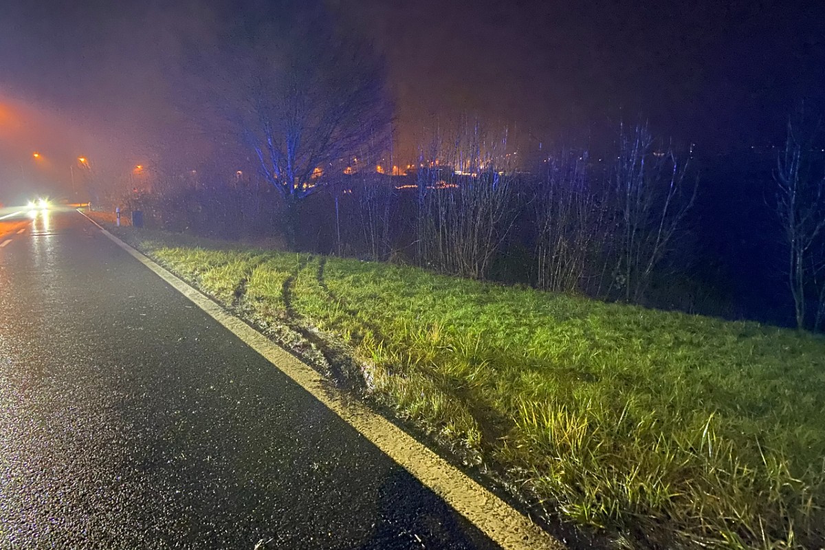 Der Fuchs ist tot aufgefunden worden.