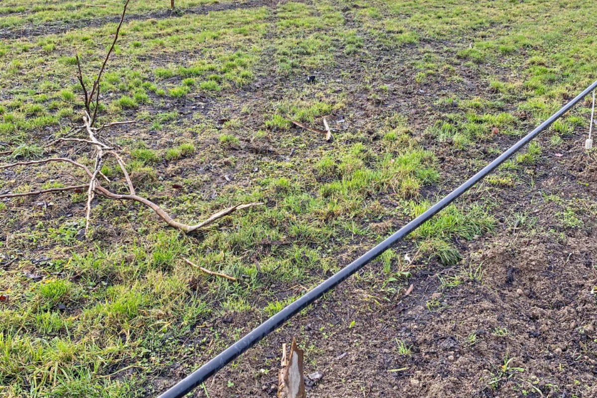 Frauenfeld TG - Audifahrer/in nach Selbstunfall gesucht