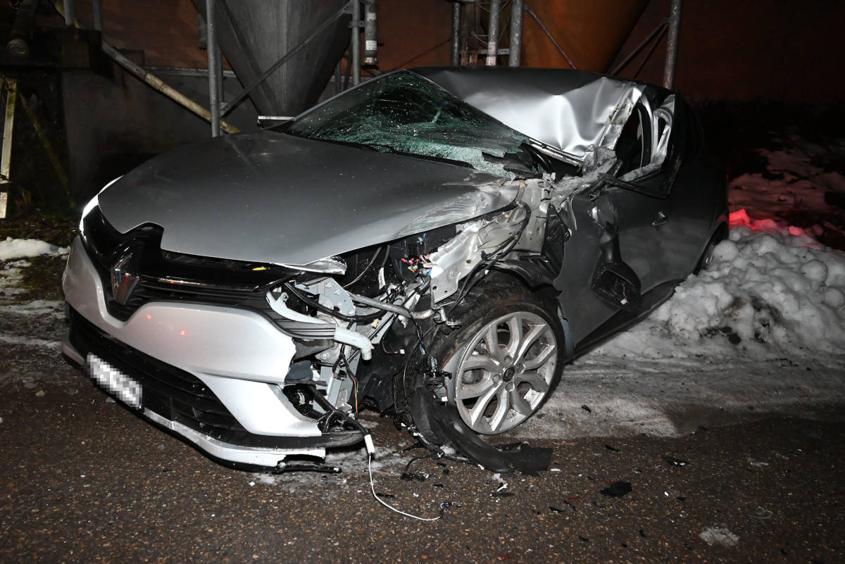 Reh ausgewichen und ins Schleudern geraten