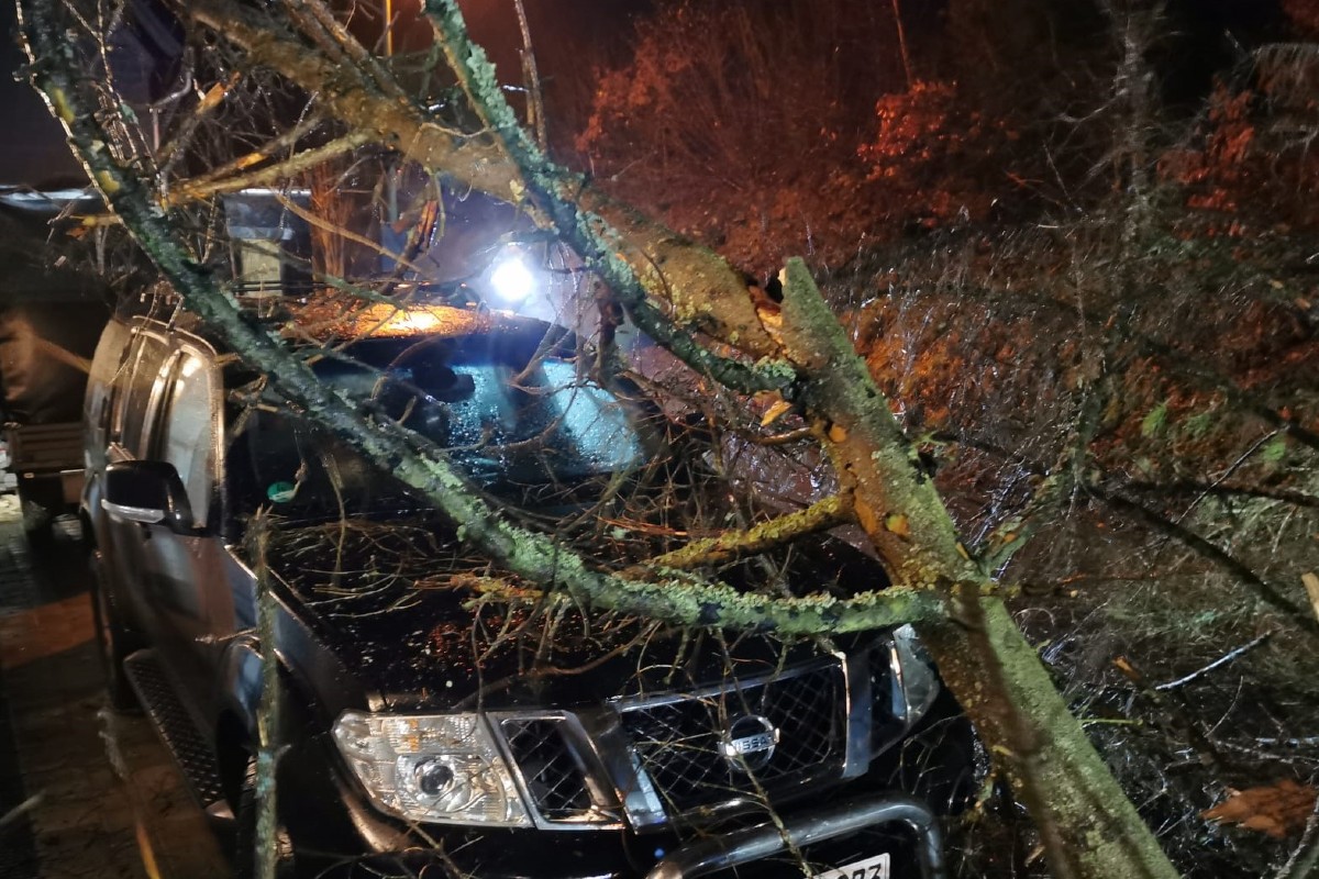 Der Nissan Pathfinder wurde zerstört.