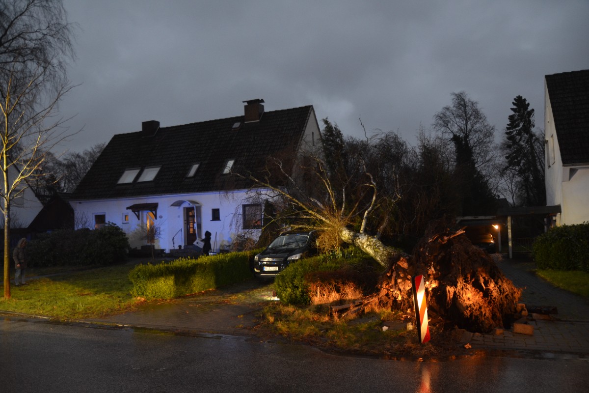 Kreis Pinneberg - Schon mehr als 200 Einsätze wegen Sturmtief "Ylenia"