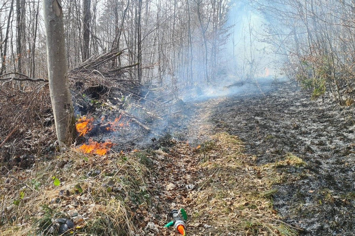 Feuerwehreinsatz wegen brennendem Waldboden