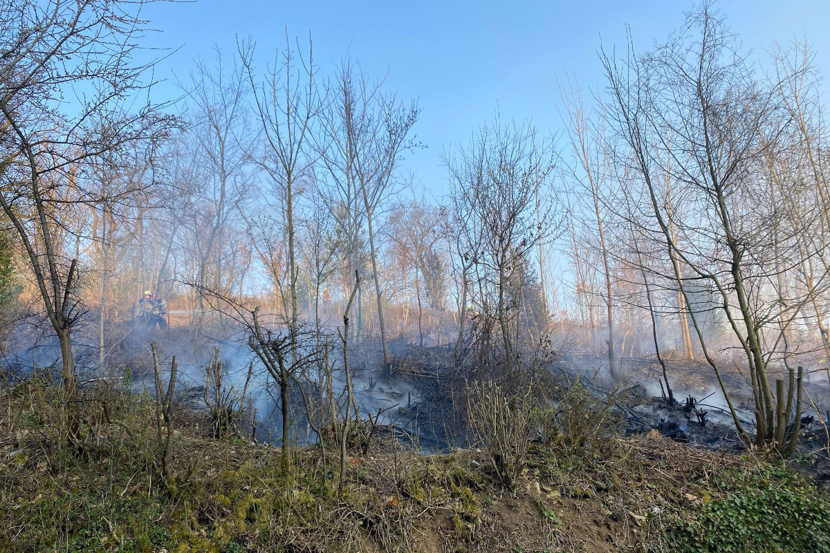 Grellingen BL – Brandausbruch im bewaldeten Gelände