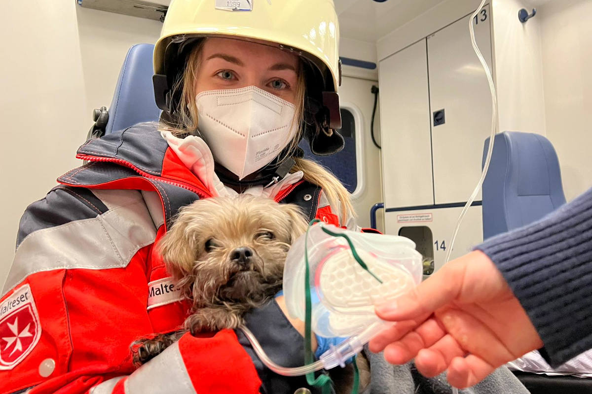 Küchenbrand mit Rauchgasdurchzündung - drei Verletzte - Hund mit Sauerstoff versorgt