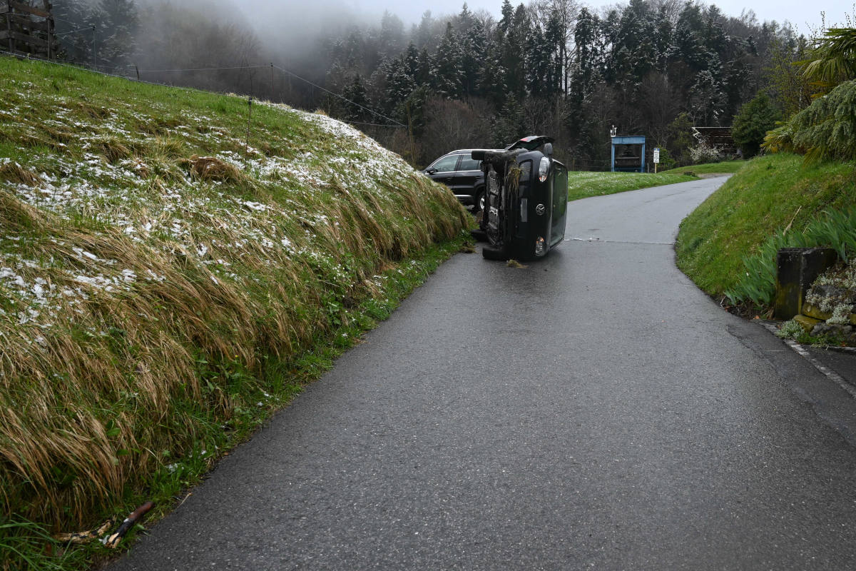 Beifahrerin bei Unfall verletzt