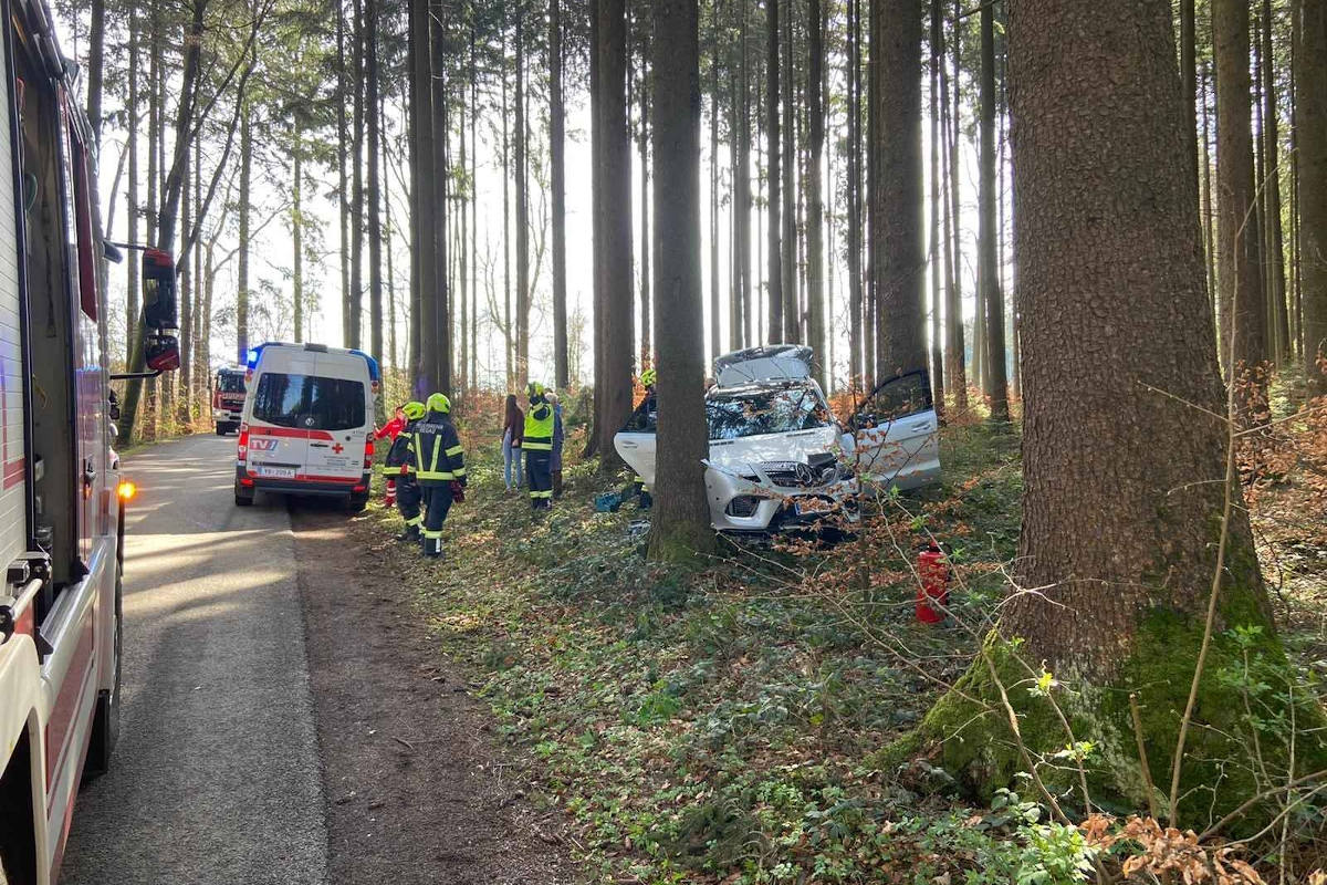 Mit Pkw gegen Baum geprallt
