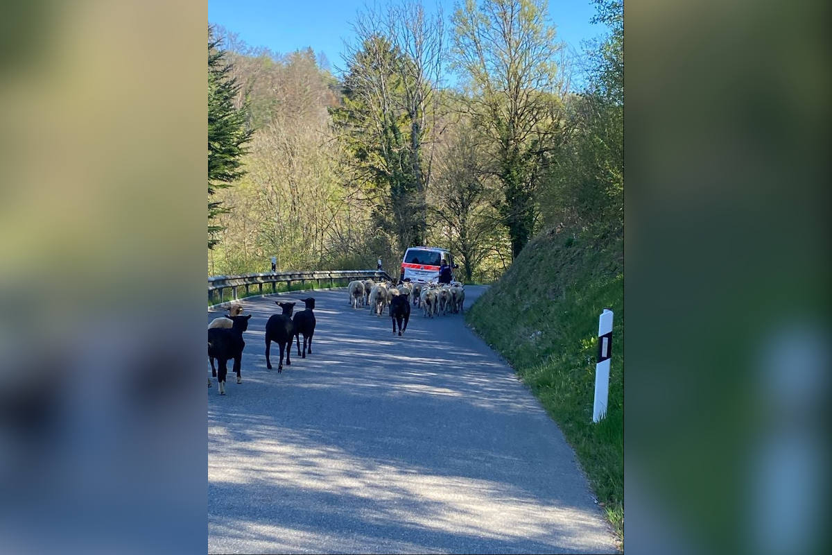 Tierischer Osterausflug beendet