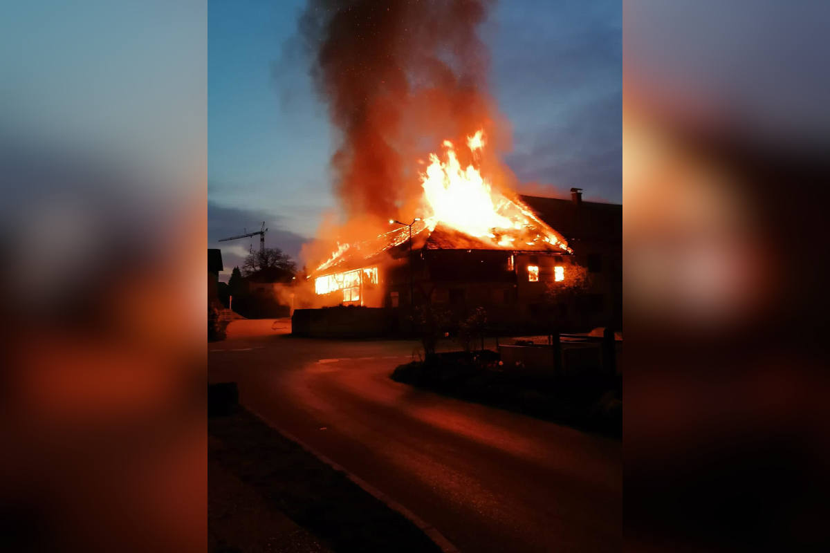 Brand eines Stalles in Eching