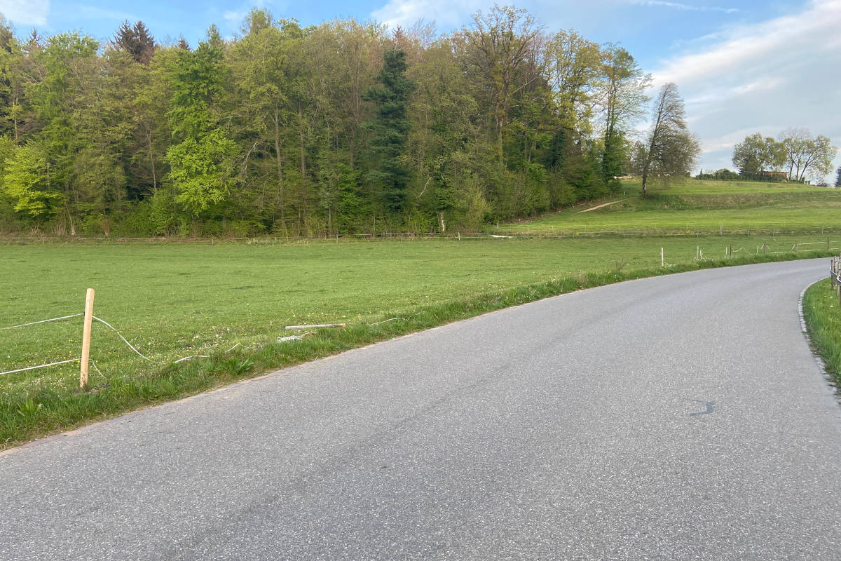 Seon AG – Weidezaun umgefahren und geflüchtet