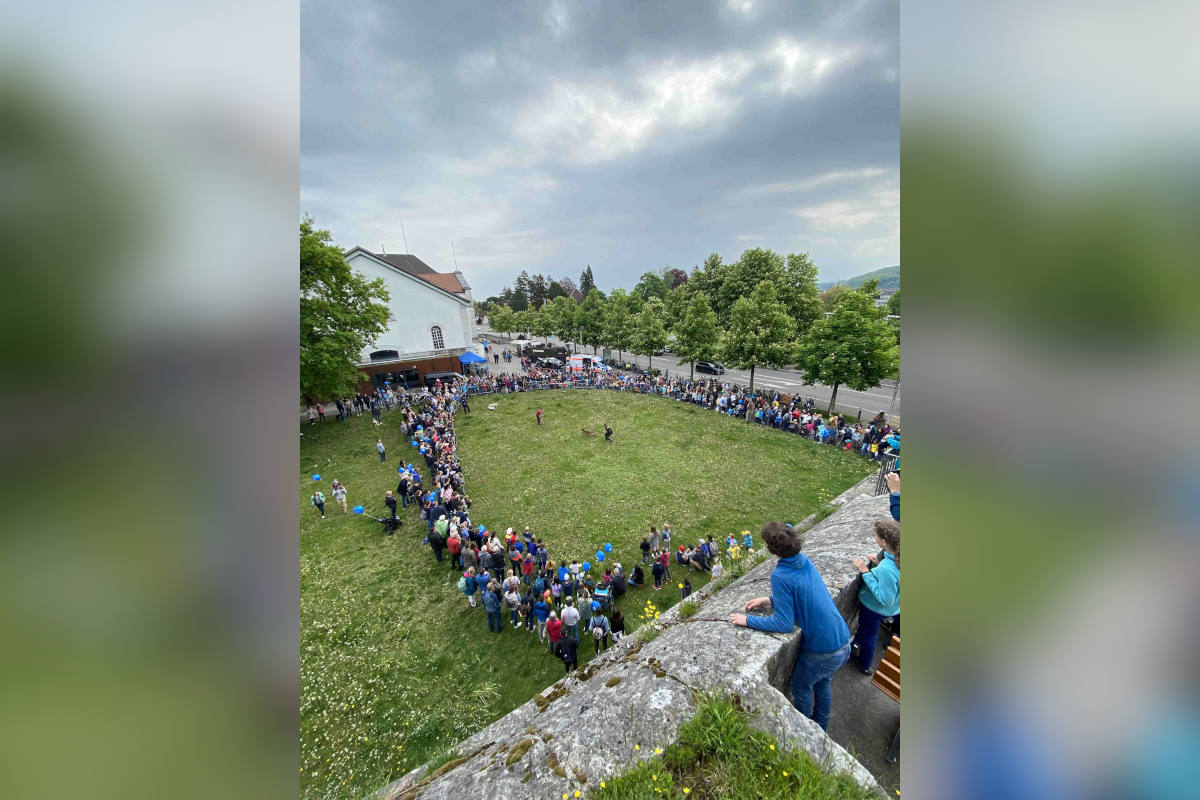 Publikumstag «alibi’22» der Kantonspolizei Solothurn begeistert viele Besucherinnen und Besucher