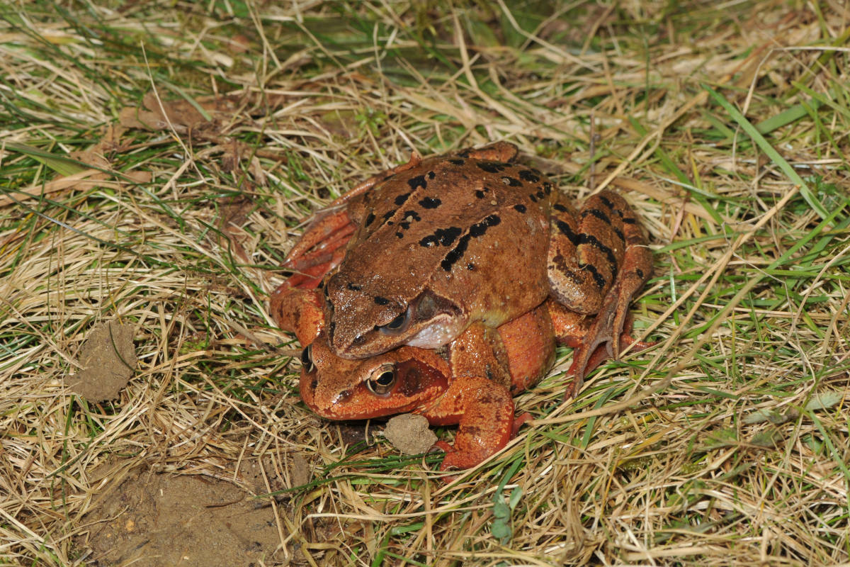 Stadt Schaffhausen und Beringen SH – Aufhebung der Sperrung Kistenpass