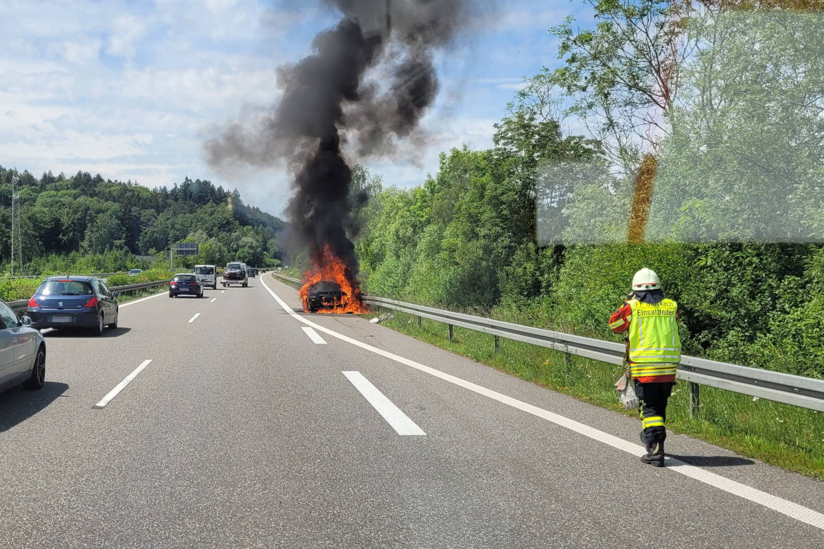 Technische Hilfe und ein Fahrzeugbrand bei Bodman-Ludwigshafen