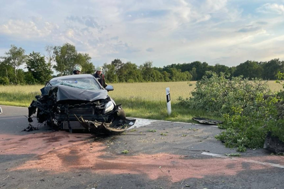 Auto kracht frontal in Baum bei Celle-Hustedt