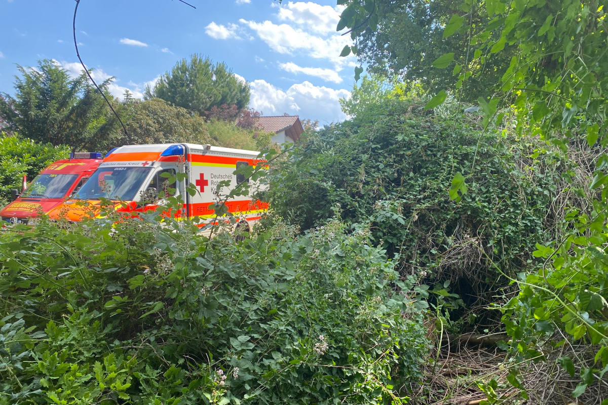 Frankenthal (Pfalz) – Verkehrsunfall mit 3 Verletzten – Paralleleinsatz mit kleinem Jungen in hilfloser Lage