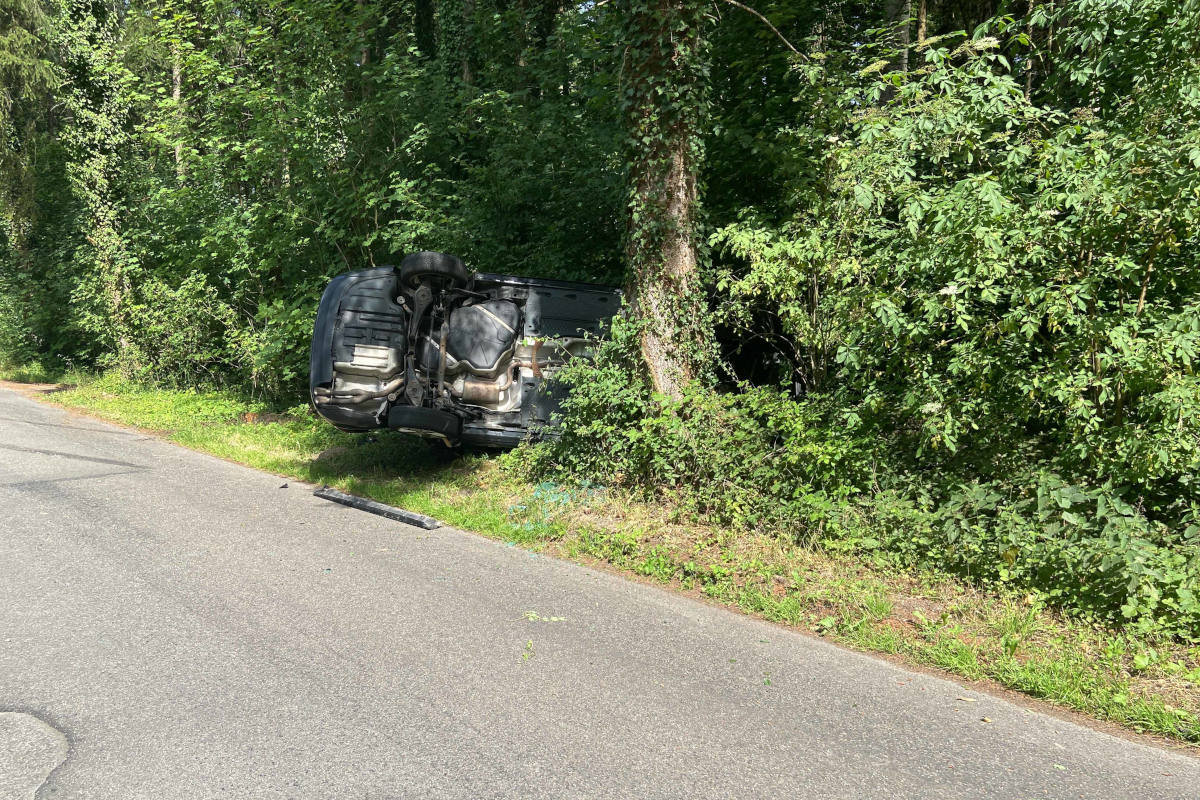 Betrunken Unfall gebaut bei Boswil