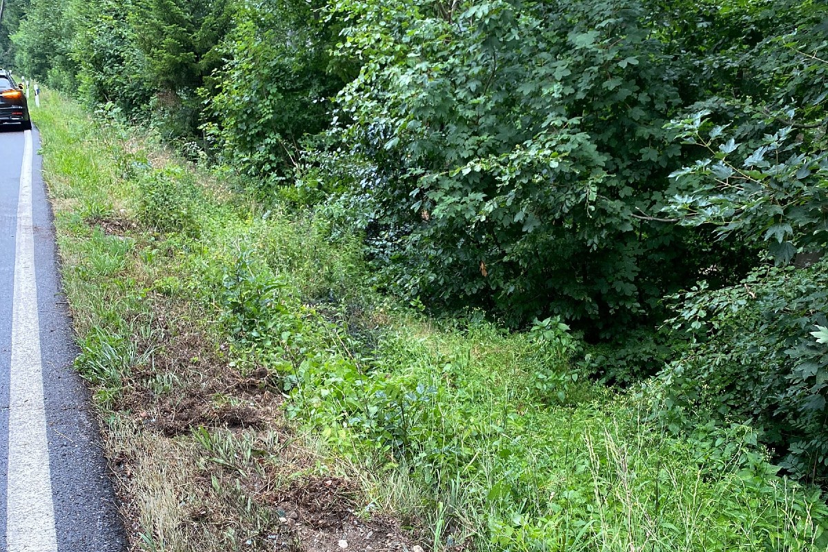 Nusshof BL - Auto landet nach Verkehrsunfall im Gebüsch