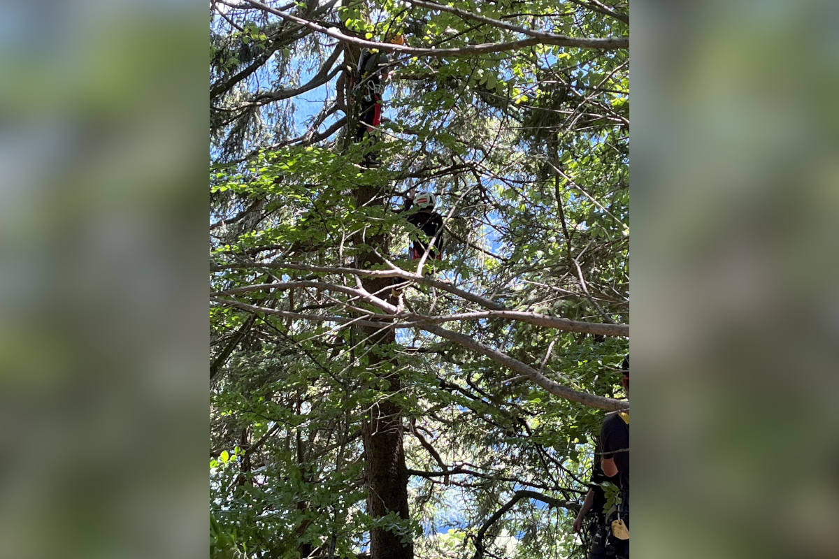 Dallenwil NW – Gleitschirmpilot aus misslicher Lage befreit