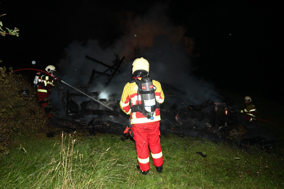 Die Tiere konnten gerettet werden.