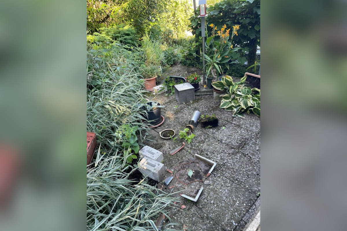 Herisau AR – Rindvieh ausgebüxt