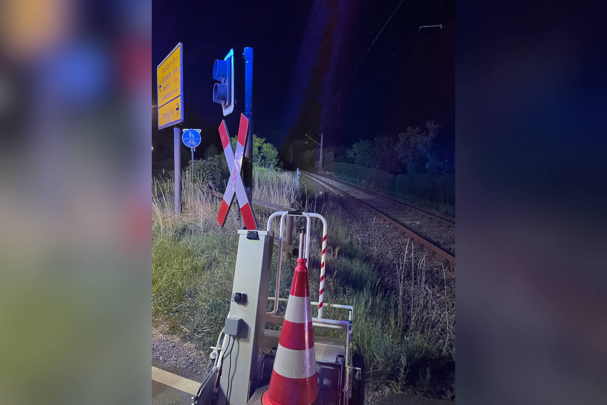 Horn-Bad Meinberg – Zugunfall mit Personenschaden bestätigt sich nicht - Rehbock tödlich verletzt