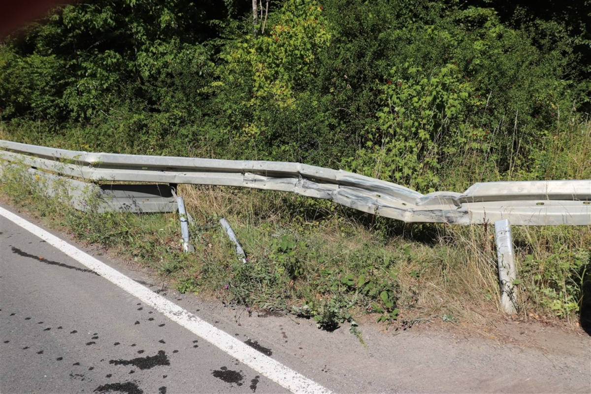 Brakel – Wespe unterm Hemd – 20.000 Euro Schaden