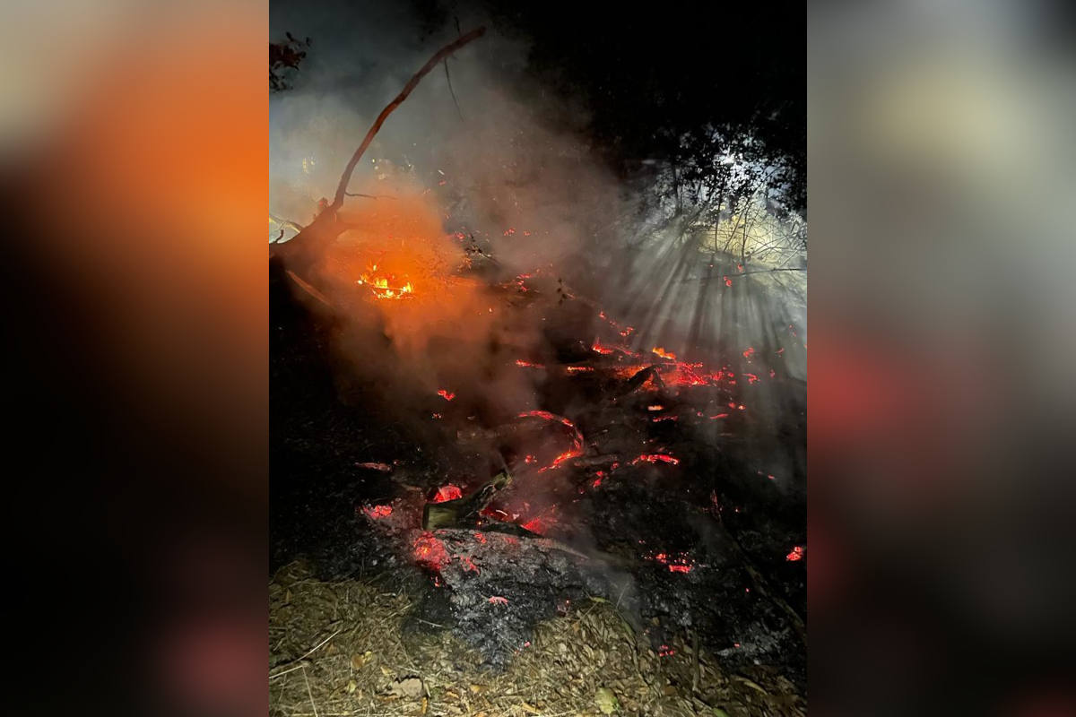 Waldbrand schnell unter Kontrolle gebracht