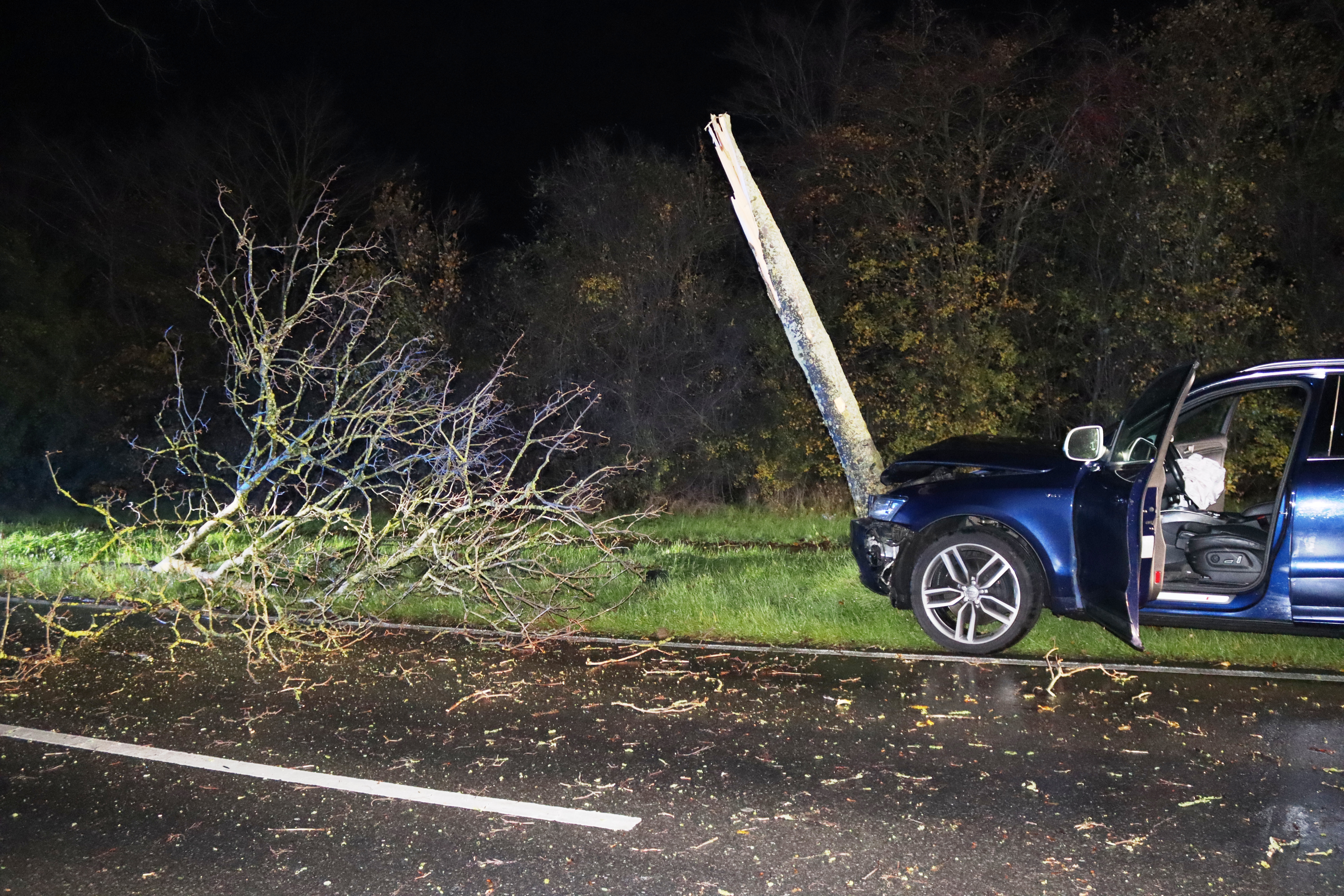 Gangelt-Birgden – Fahrer nach Kollision mit Baum verletzt