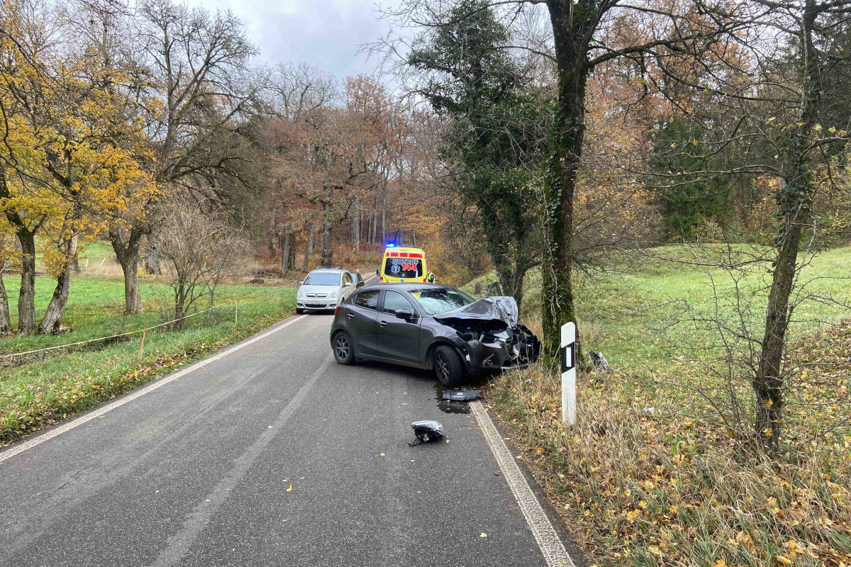 Lenkerin verliert Kontrolle über Fahrzeug und kollidiert mit Baum