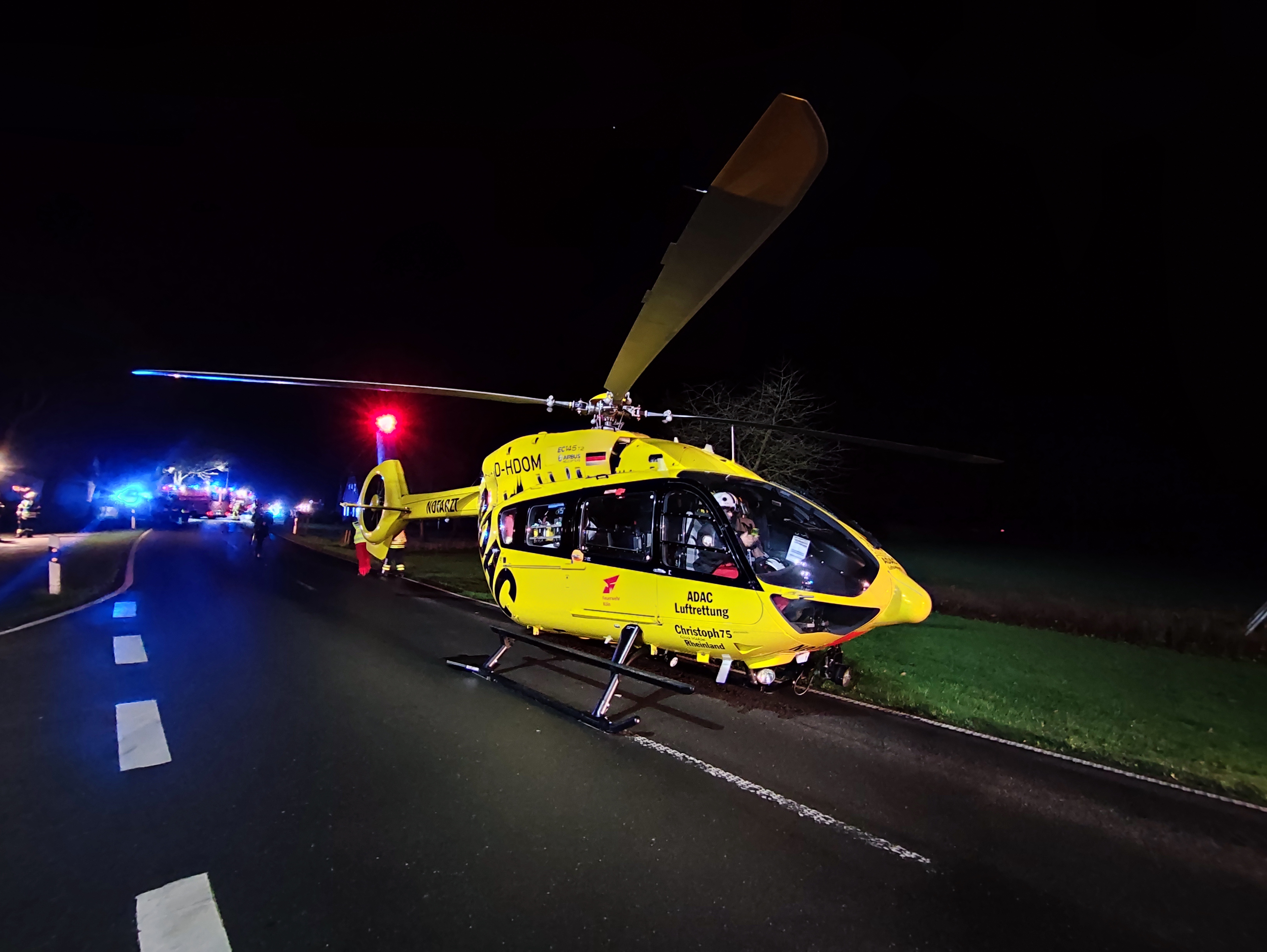 Kleinwagen prallt gegen Baum