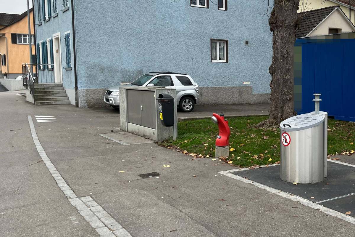 Amriswil TG – Unbekannte entsorgen lebendes Meerschwein in Abfalleimer