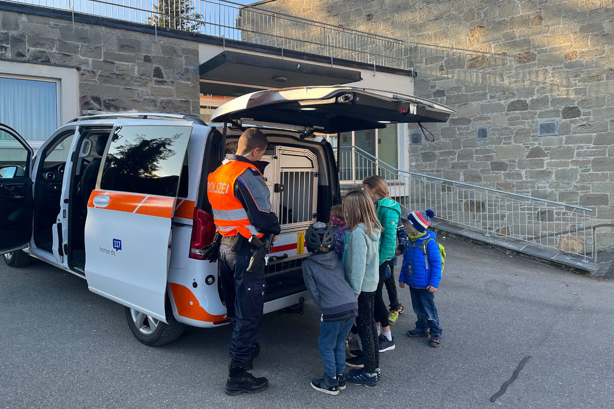 Hergiswil NW – Junger Schäferhund «Johnny» allein unterwegs