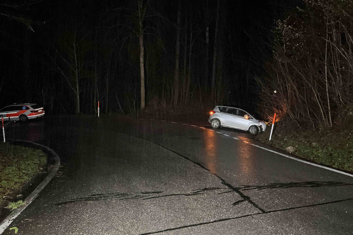 Günsberg SO – Autolenker prallt bei Selbstunfall in Böschung