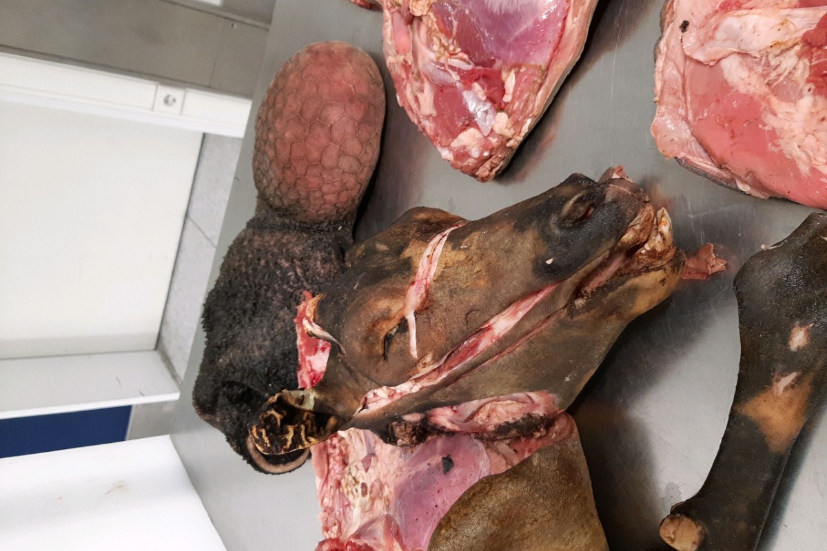 München - Ekelfund am Flughafen München