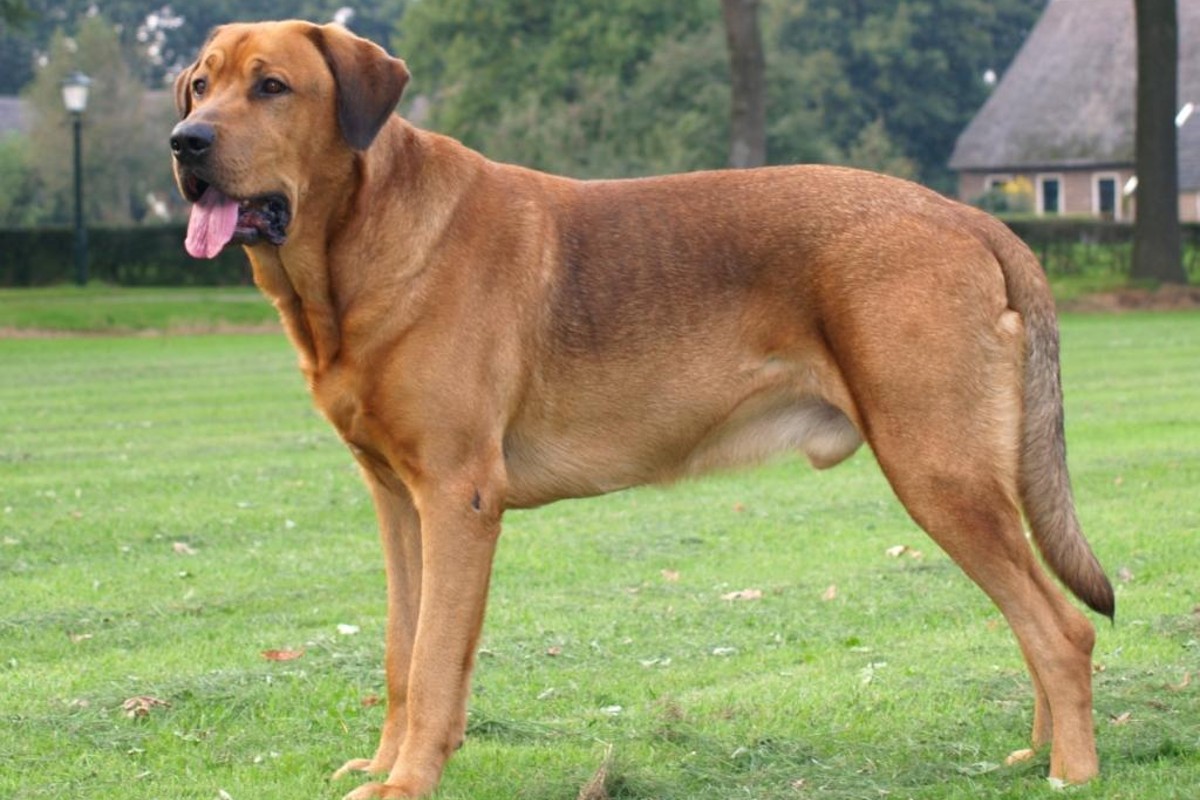 München - Zico hat keinen Bock mehr