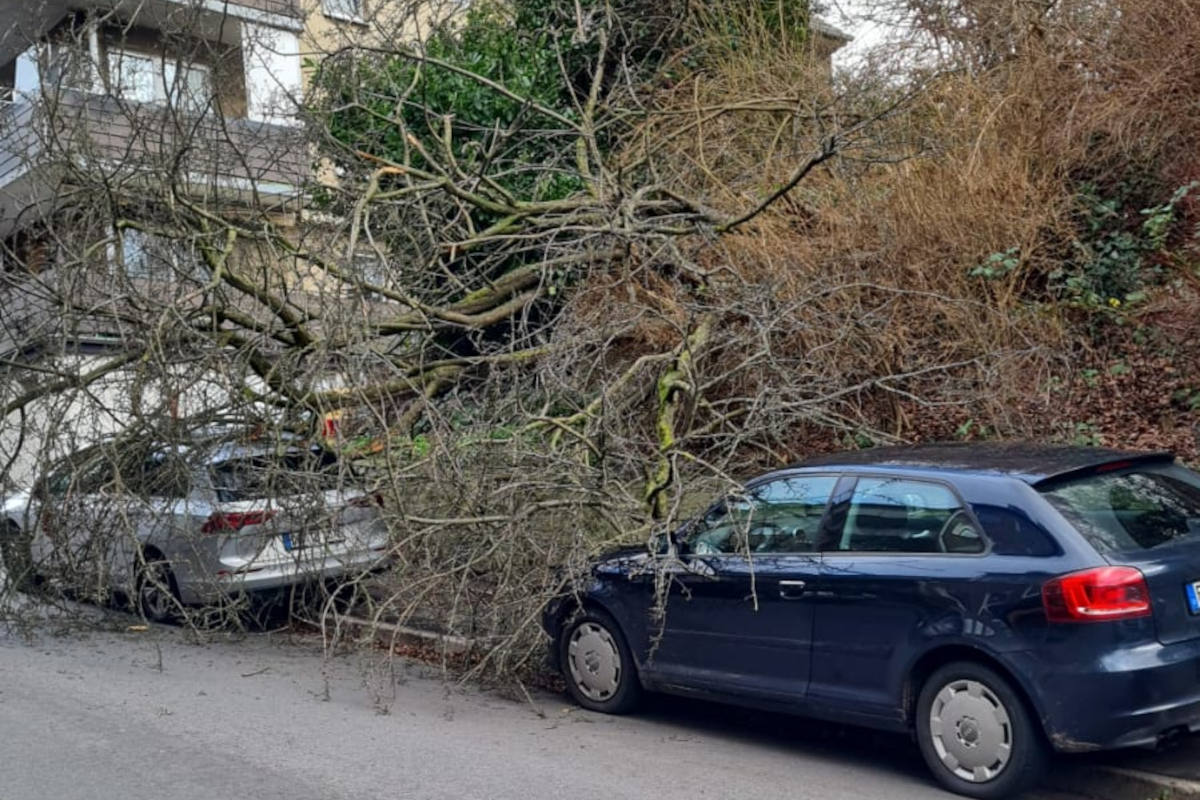 Wetter (Ruhr) – Baum auf Auto, Person auf Balkon und Verkehrsunfall