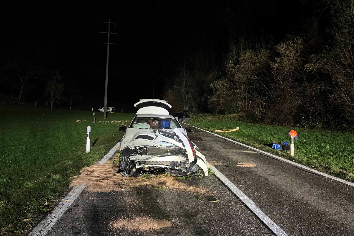 Ein Baum hat mehrere Fahrzeuge erfasst und zerstört