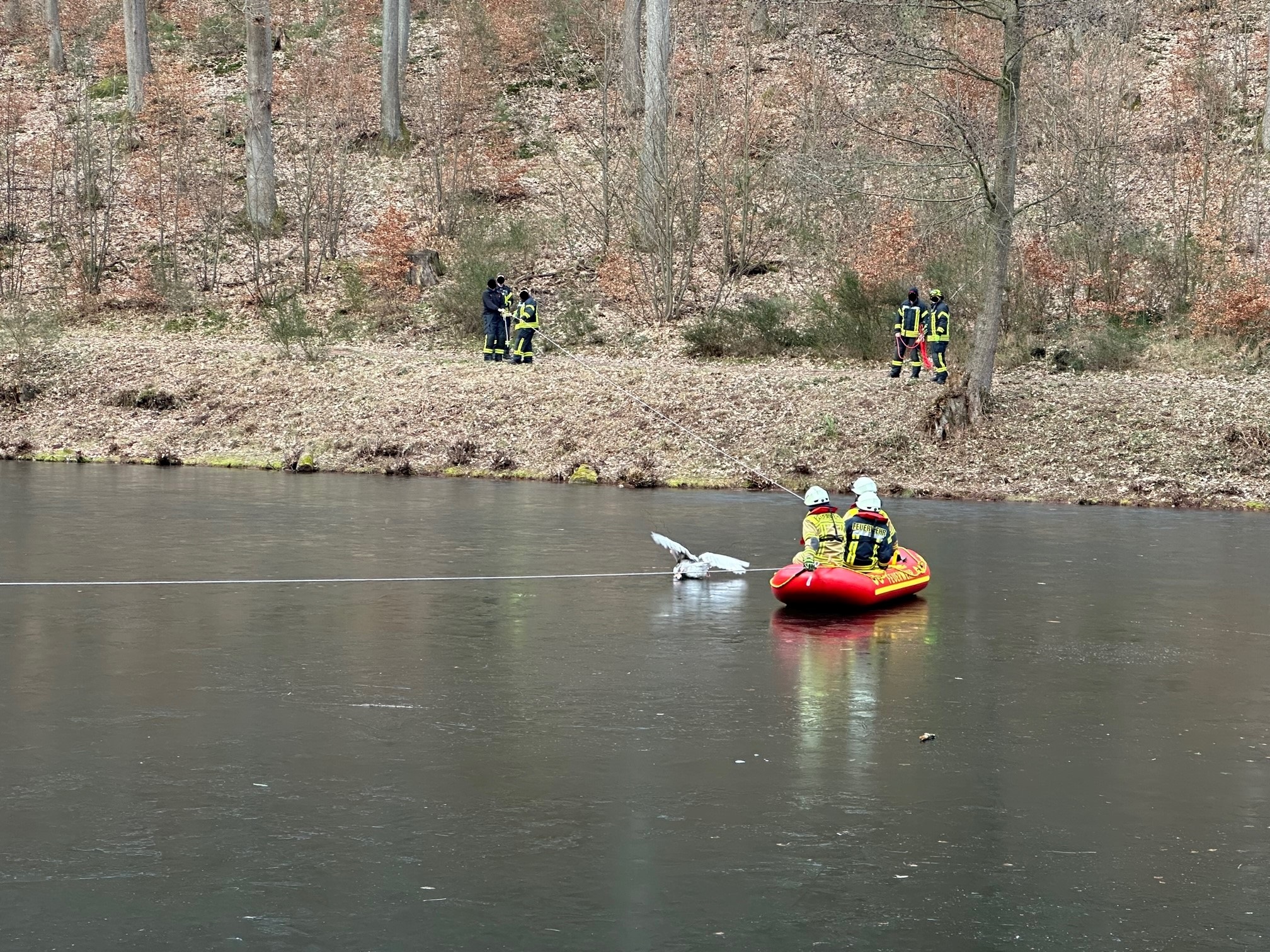 Gans schön knapp! Tierrettung am Hilschweiher