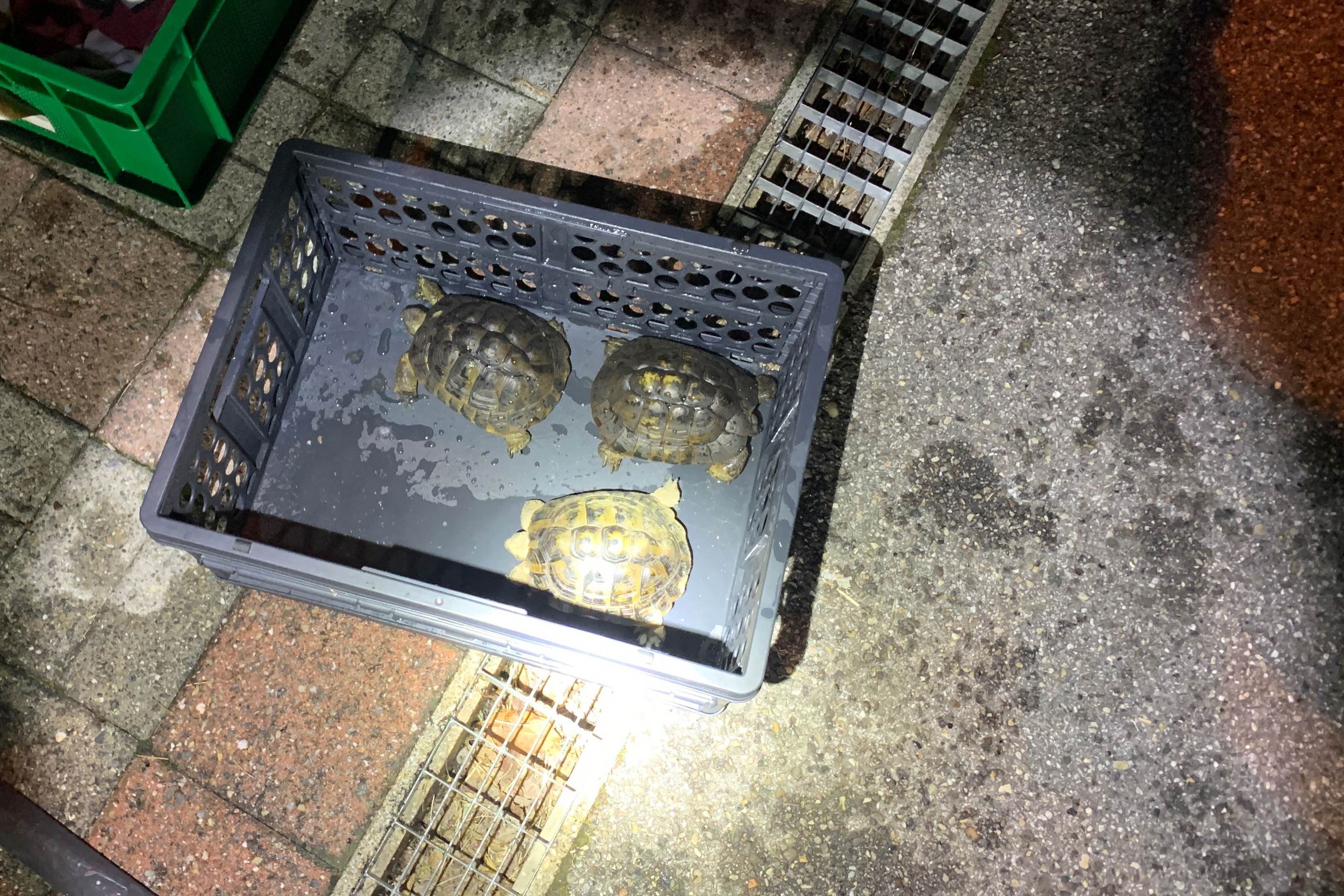 Haus nach Brand und Feuerwehreinsatz unbewohnbar