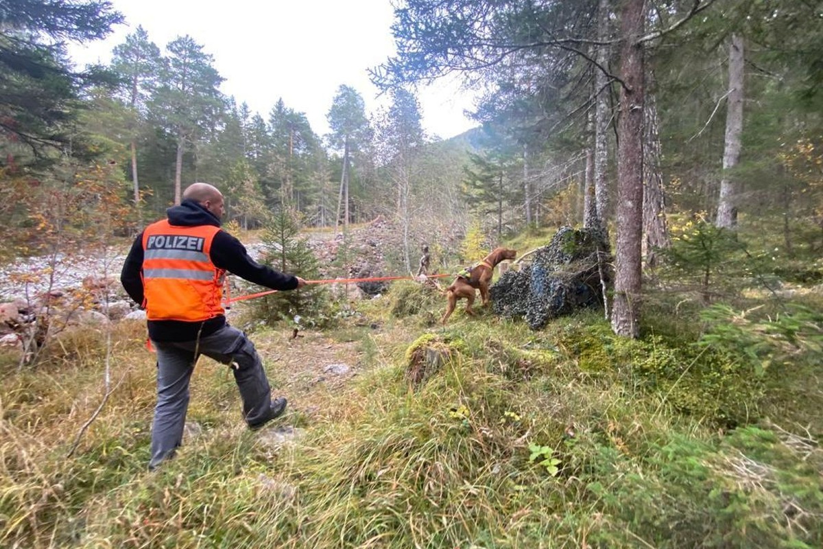 Reinach BL - Polizeihund «Falu» spürt vermissten Mann in misslicher Lage auf