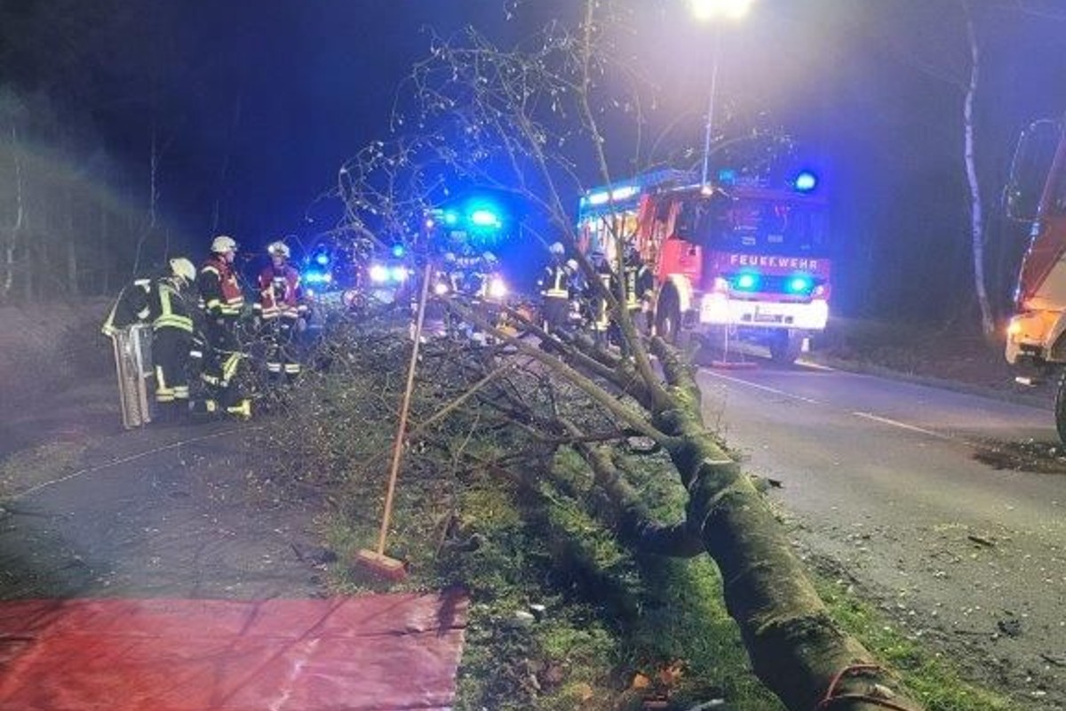 Autofahrerin (31) bei Unfall in Wiegersen schwer verletzt