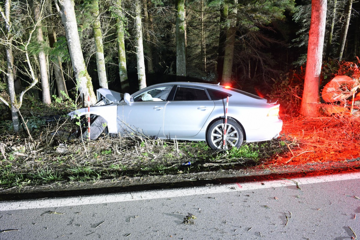 Rain LU - Ohne Ausweis verunfallt - Männer entfernen sich zu Fuss vom Unfallort