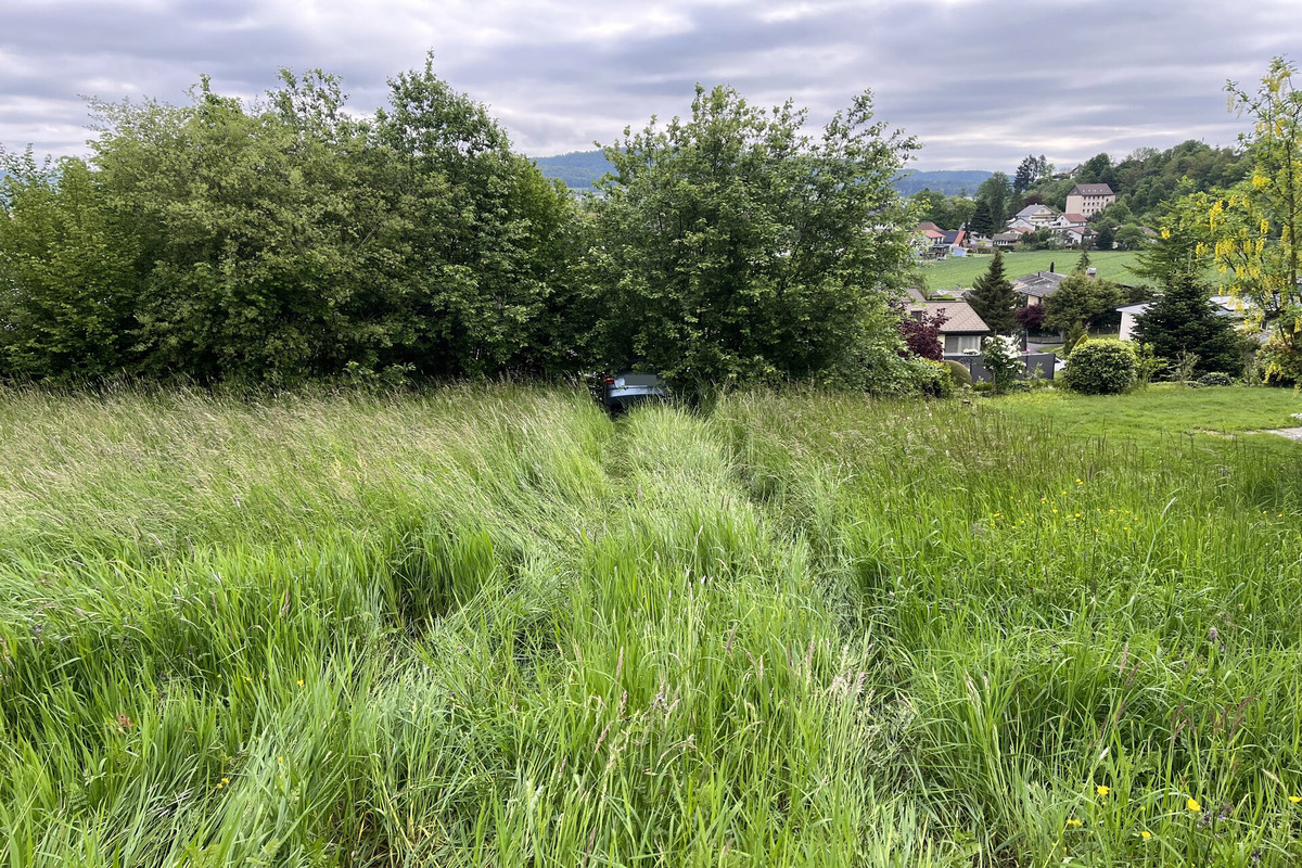 Rothrist AG - Handbremse nicht richtig angezogen