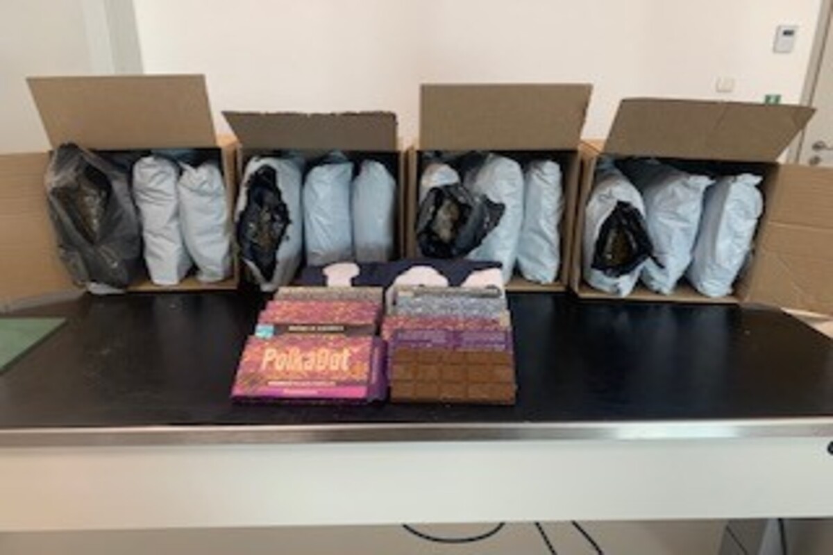 Köln NW - Zollhund Brego erschnüffelt Drogen