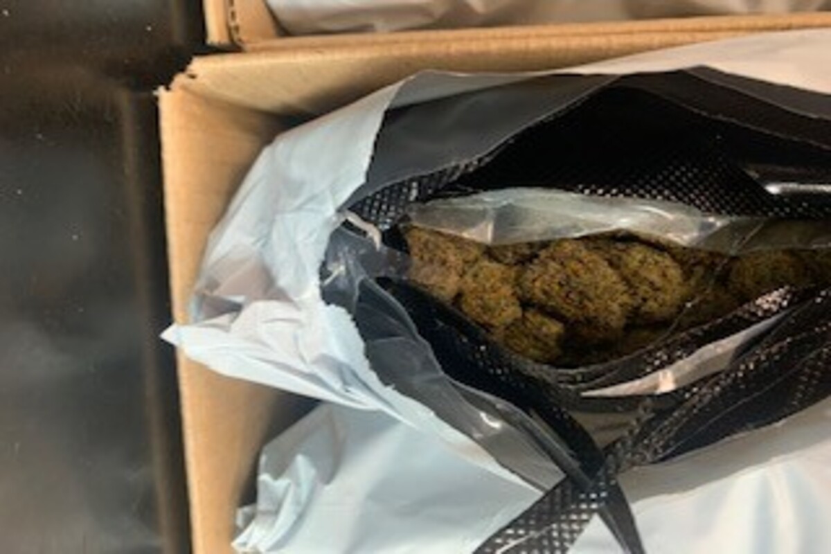 Köln NW - Zollhund Brego erschnüffelt Drogen