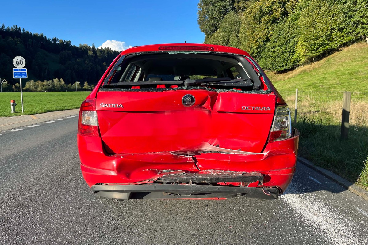 Luzerner Polizei - Intensives Wochenende mit vielen Einsätzen