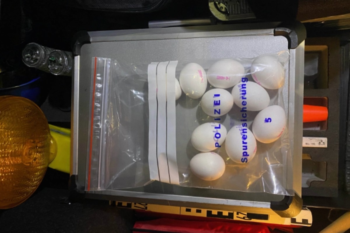 Kanton Zug - Etliche Polizeieinsätze im Zusammenhang mit Halloween