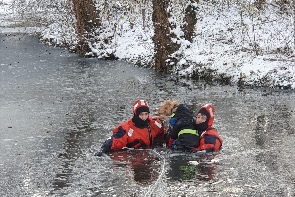 Tierrettung  in Stuttgart - Hund in Eisfläche eingebrochen