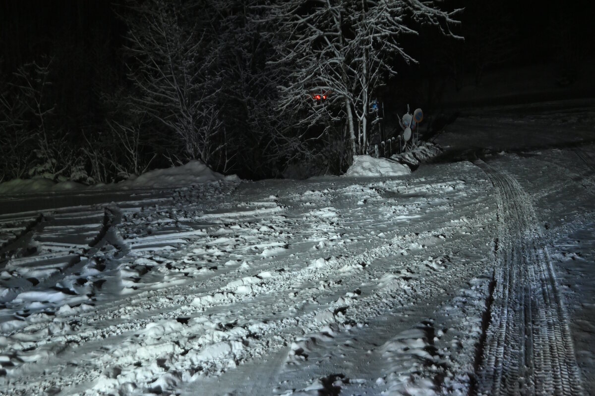 Rüeterswil SG - Ein Toter nach Drift-Unfall