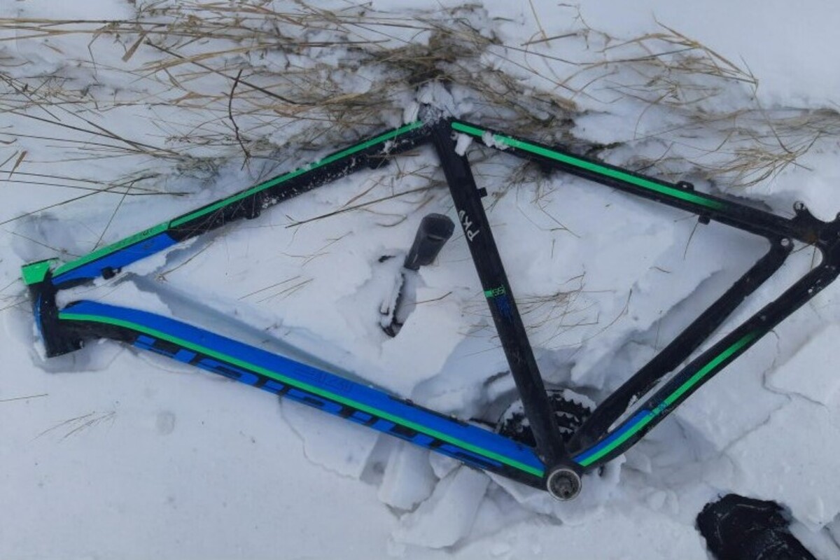 Niederzimmern TH - Einkaufswagen auf Gleise abgestellt 