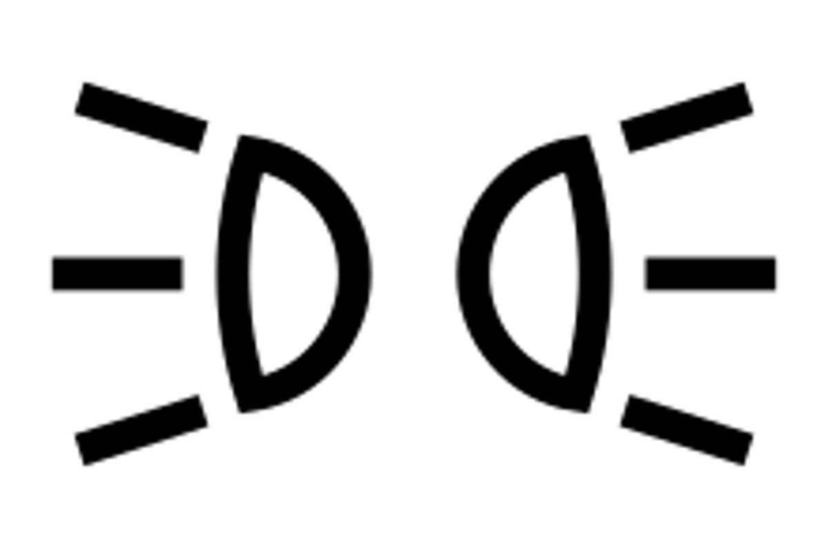 Nebellampe, Scheinwerfer und Co. - Welches Licht wird wann eingesetzt?